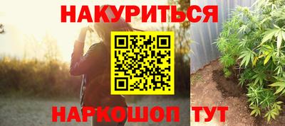 сатива Балаково