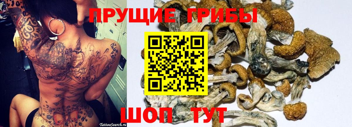 Псилоцибиновые грибы Psilocybe Гусь-Хрустальный