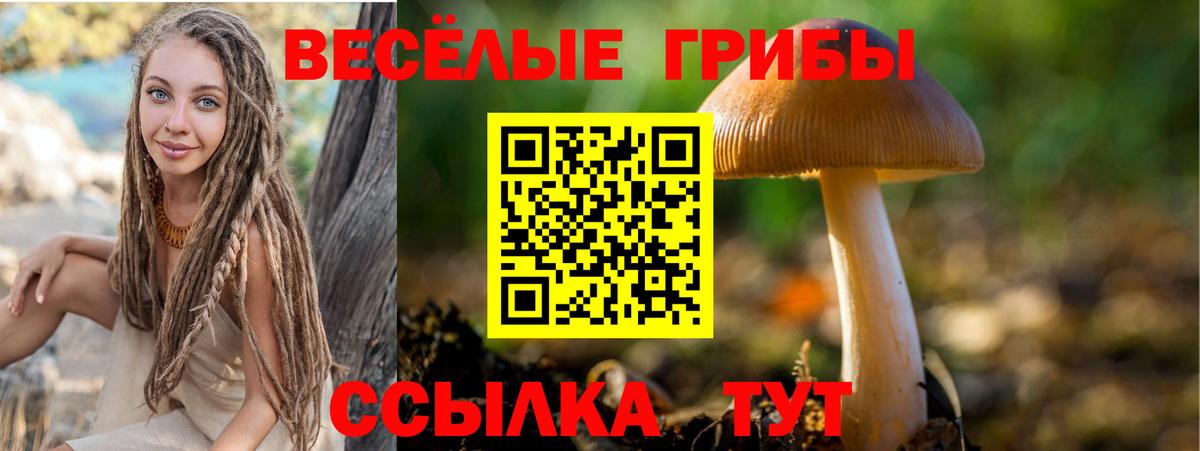 Галлюциногенные грибы мухоморы  Вход с VPN  Галлюциногенные грибы мухоморы  Гусь-Хрустальный 